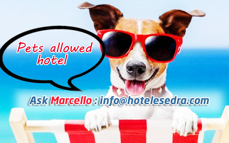 Pets allowed in Hotel in Milano Marittima